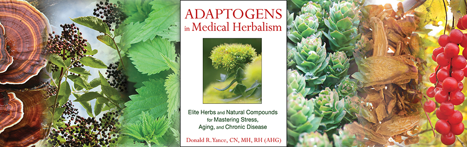 Adaptogens_cover image_v5