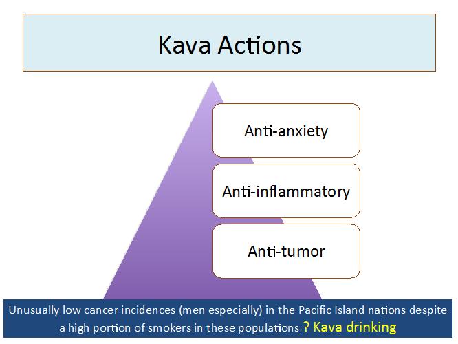 Kava Actions