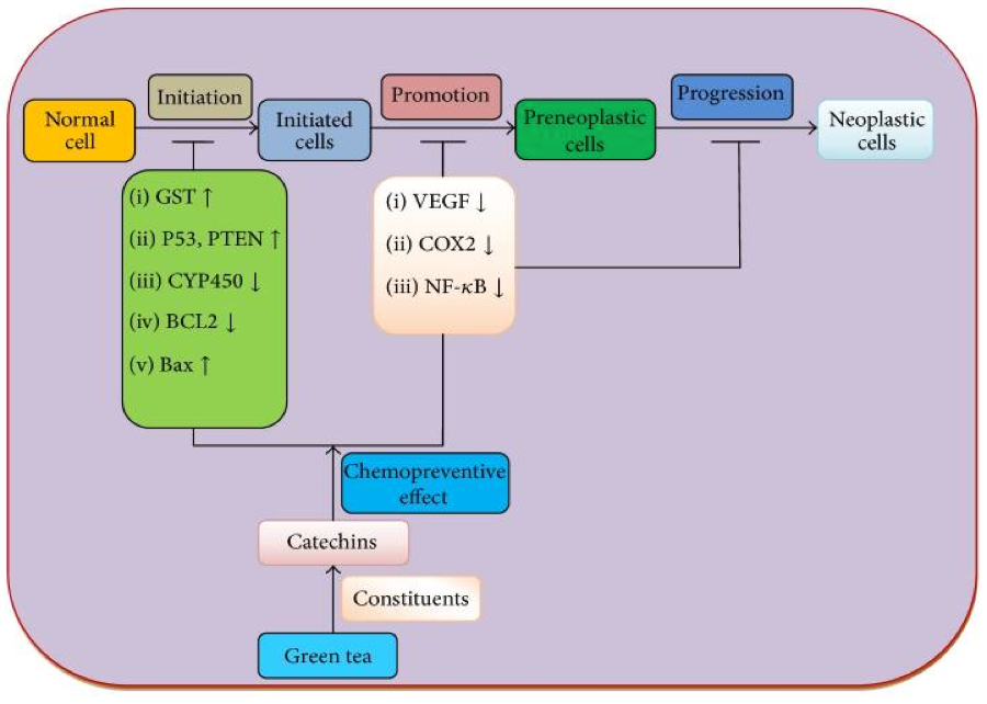 Biomed Res Int. 2015; 2015: 925640.