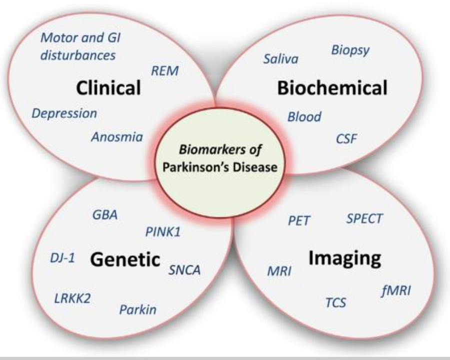diagram of Biomarkers of Parkinson's disease: A single biomarker cannot reflect the complexity of the disorder. Clinical, laboratory, imaging, and genetic data need to be judiciously combined to accurately predict disease status and progression
