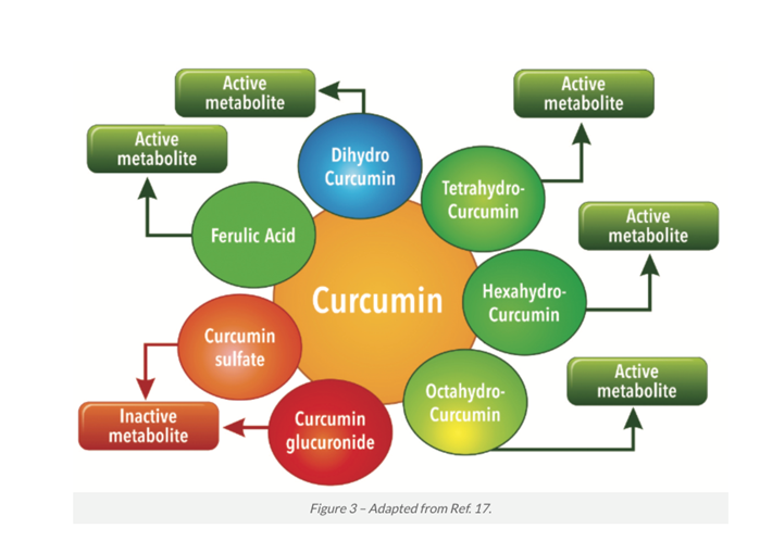 Diagram of Curcumin and how it alleviates aging symptoms and postpones the progression of age-related diseases in which cellular senescence is directly involved