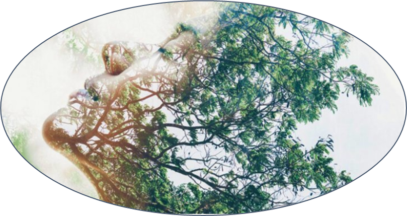 Woman's face in a tree looking upward