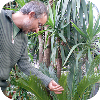 Stefano Mancuso touching plants
