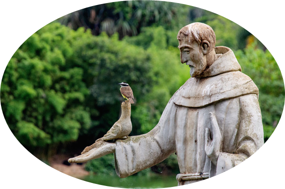 Statue of Saint Francis of Assisi
