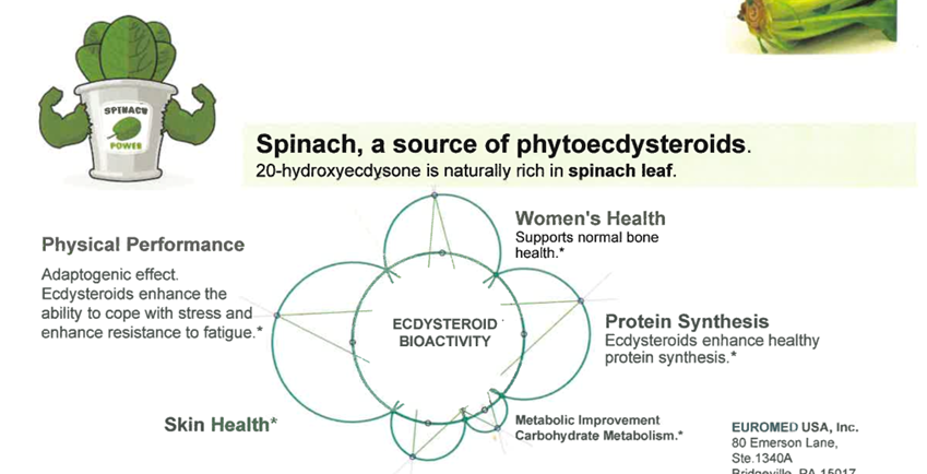 Graph of Spinach as a source of aphytoescysteroids which is naturally rich in spinach leaf