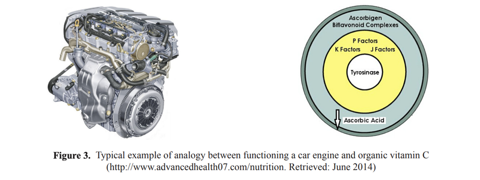 A picture of a car engine and Organic vitamin c making an analogy between a functioning car engine and organic vitamin C